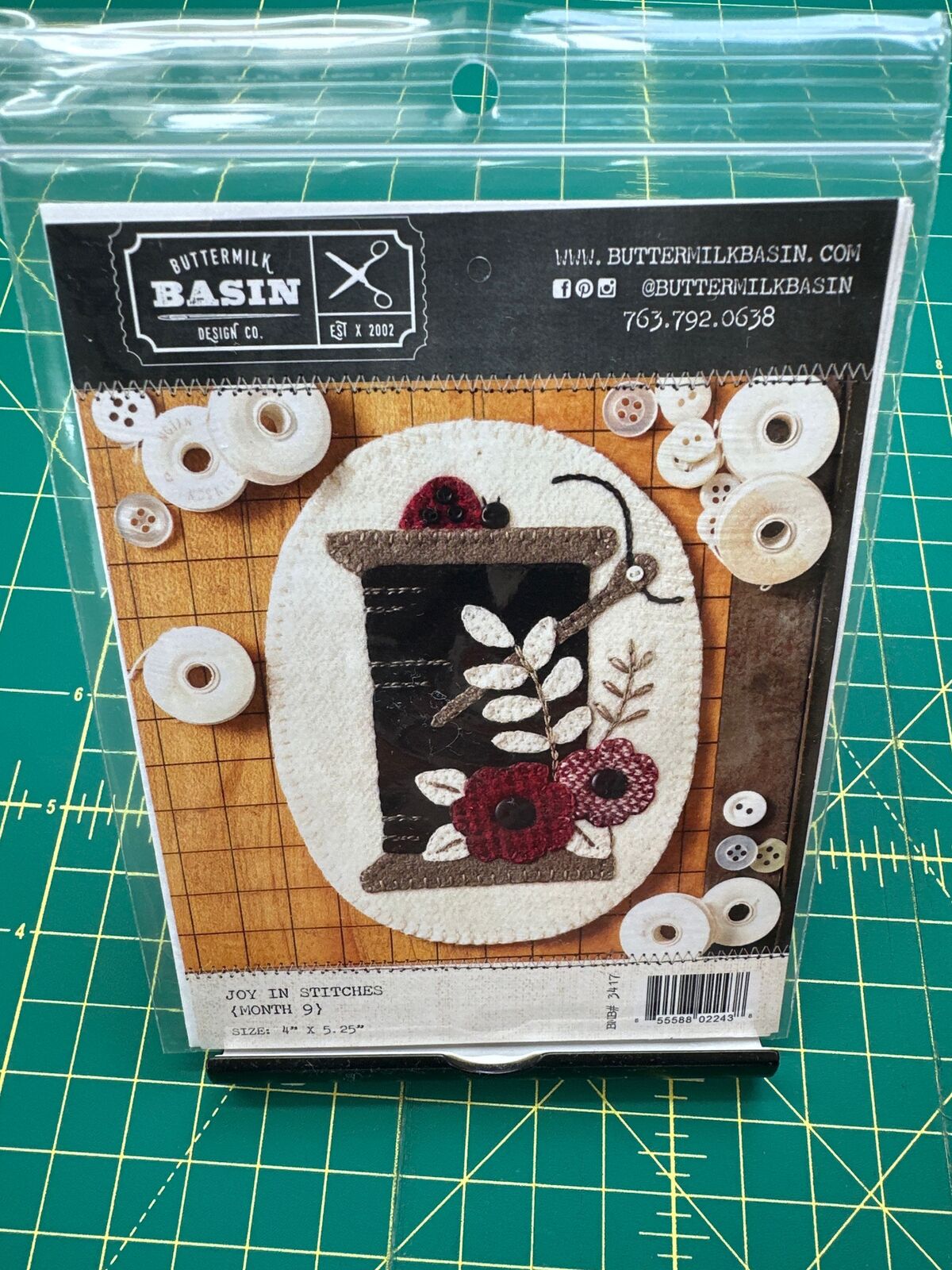 Joy in Stitches (Month9) by Buttermilk Basin
